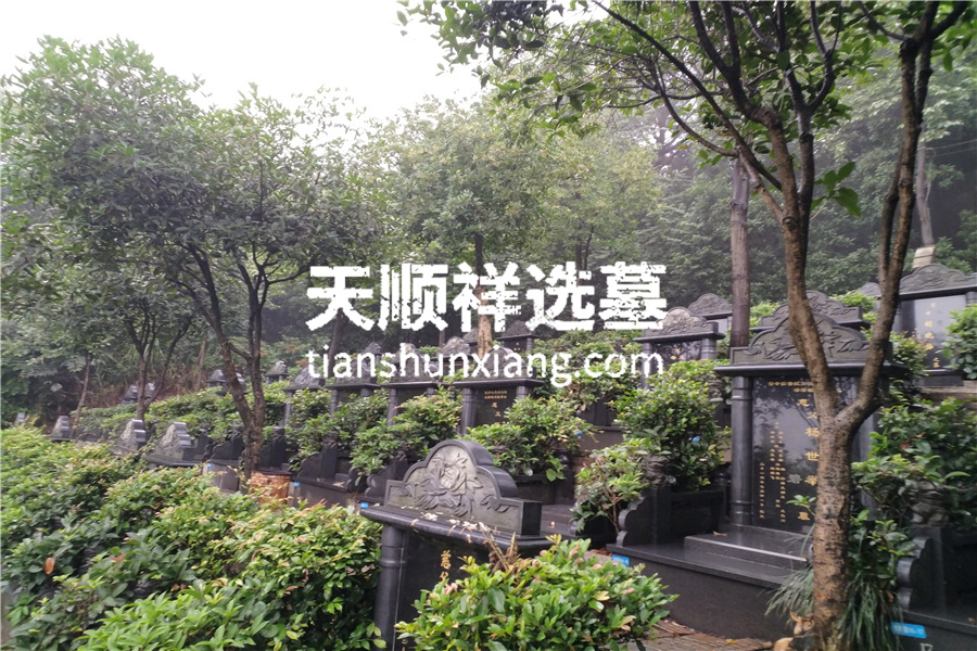 公墓墓区环境
