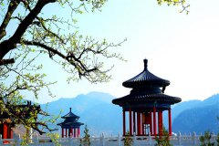 2023年在北京周边清东陵万佛园公墓选个墓碑,全部费用大概花了8万左右