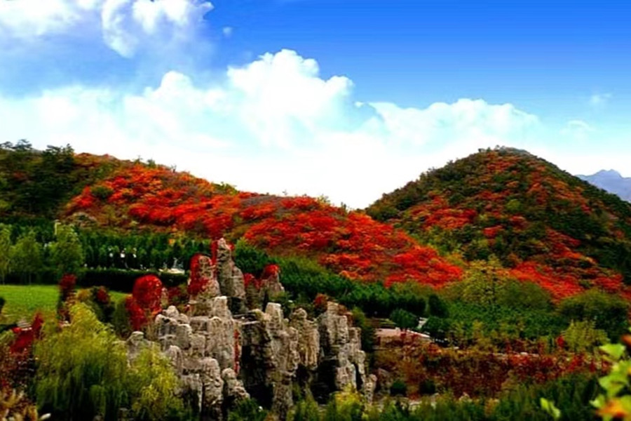 陵园景观