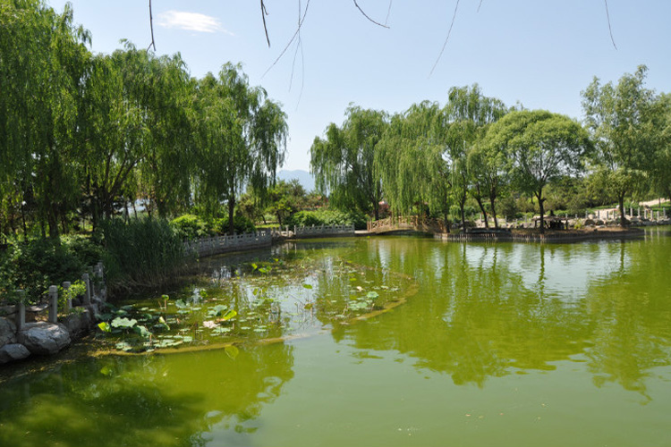 水系景观