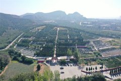 河南新乡墓地-龙凤公墓、凤凰山公墓、福泰公墓简介、价格多少