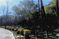 北京八达岭附近墓地价格多少？价格表2023年10月更新