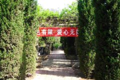 在三兆公墓选个最低价位的双人墓地售价为2万左右