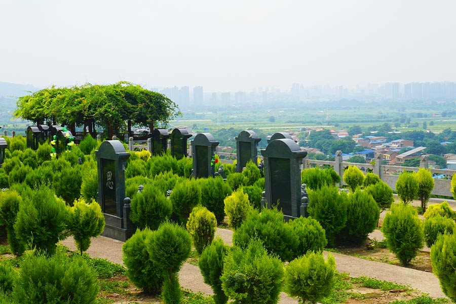 陵园墓区