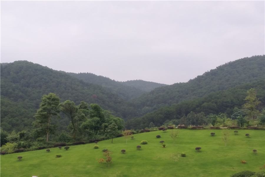 绿化风景