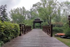 郑州生态葬墓地-云鹤陵园壁葬、御泉森林陵园草坪葬、福寿园花坛葬价格多少