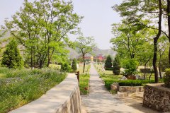 凤凰山陵园是合法经营性墓地吗怎么样？