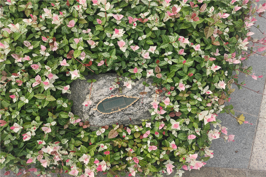 花坛葬
