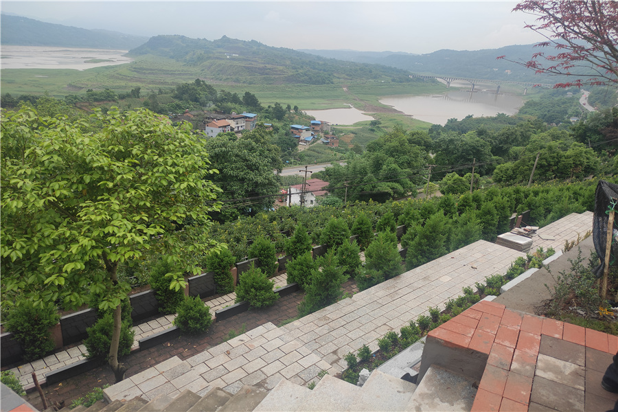 绿化景观