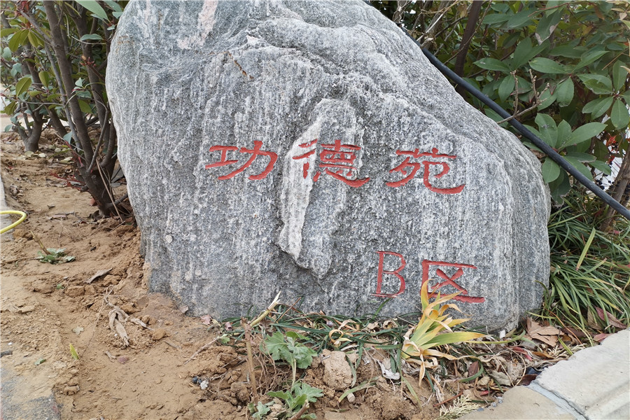 园区一角