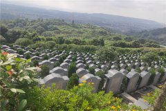 重庆北培墓地-龙车寺塔陵园和天赋陵园位置合法交通路线