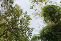 重庆市长寿区灵安园怎么样？价格多少钱