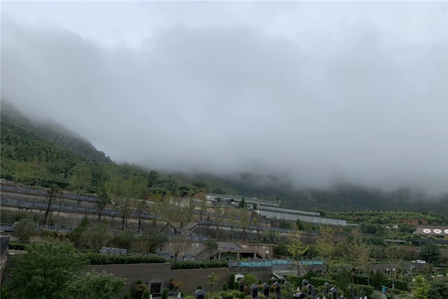 陵园风景