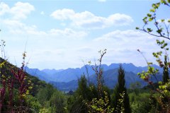 昌平景仰园陵园目前都有哪些墓碑在售的价格多少钱？