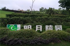 重庆明月陵园树葬、壁葬、花坛葬什么样式价格多少