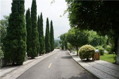 重庆高新区白市驿龙居山陵园交通方便吗？环境怎么样