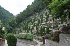 重庆九龙坡龙居山陵园怎么样？龙居山陵园墓地价格多少