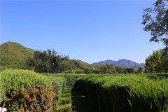 昌平区墓地,买一个普通墓碑多少钱一块