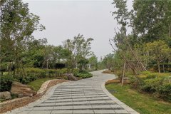 河南这边分布不错的墓地有哪些名称？位置在哪特色点