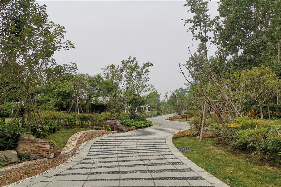 陵园道路风景