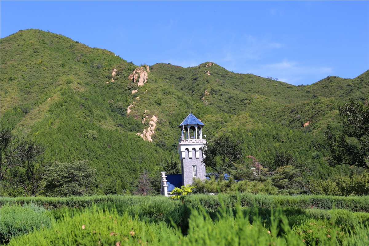 绿化环境