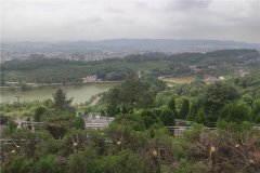 2023年重庆九龙坡白市驿龙居山陵园价格一览表及公墓陵园墓型介绍