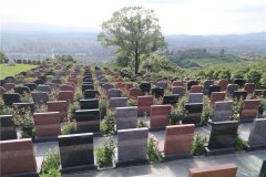 重庆江北寺坪陵园壁葬、立碑样式介绍及墓碑价格多少