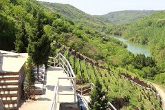 凤凰岭公墓稀有的向阳墓园,与秦陵汉冢相望