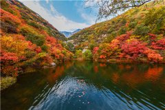 2024年河南登封市莲花山人文纪念园墓地价格表最新