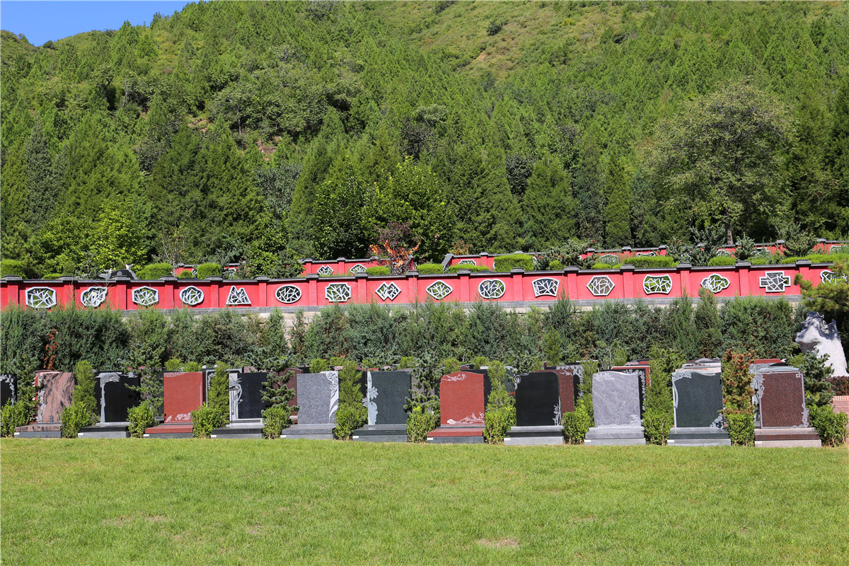 墓区环境