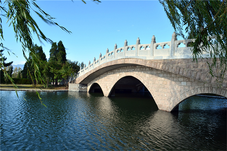 陵园风景