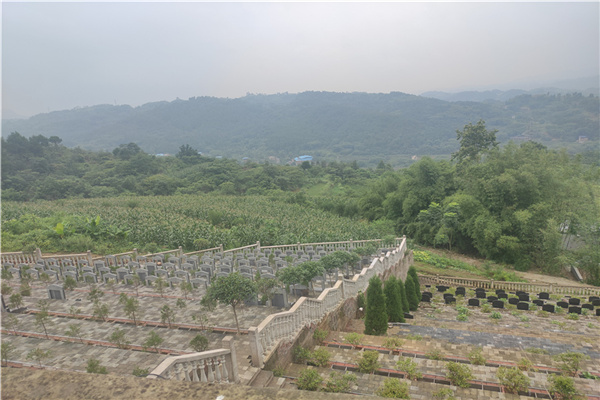 陵园详情