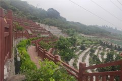 大渡口墓地价格一览表？大渡口墓地价格查询下