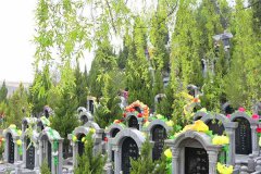 陕西西安蓝田县凤凰岭公墓怎么样？