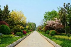 新乡市墓地哪里便宜？新乡市便宜墓地价格多少钱？