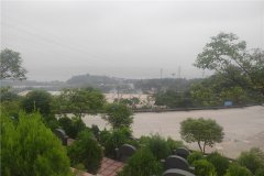 重庆大渡口周围有哪几个墓地？墓地价格表实时更新
