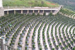 2024年重庆市巴南区燕尾山公墓价格表最新一览