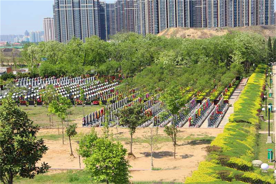 陵园墓区环境
