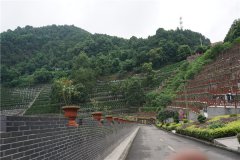 重庆九龙坡区墓地价格详情-龙居山陵园、仙女山公墓及金银山公墓价格多少钱