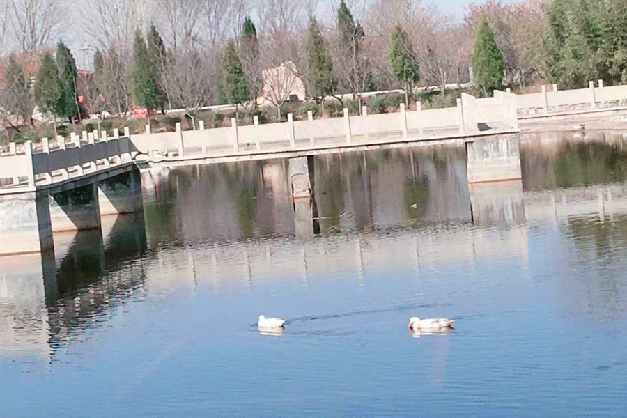 陵园景观