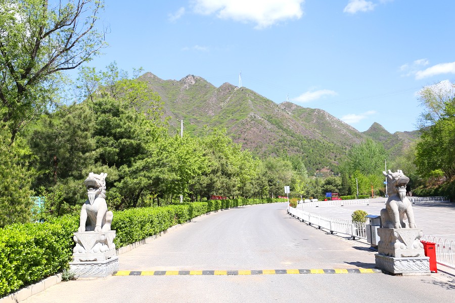 陵园道路