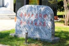 朝阳长青园骨灰林骨灰海葬和自然葬收费吗？