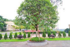 重庆南岸区明月陵园花坛葬怎么样？花坛葬价格多少钱