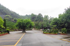 重庆巴南区金山陵园什么价格？金山陵园价格一览表