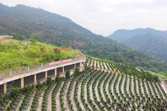巴南区燕尾山公墓价格多少？巴南区燕尾山公墓价格表最新