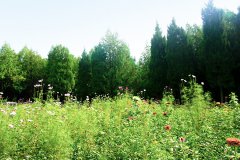 2024年陕西省咸阳福寿园墓地葬式及价格表最新