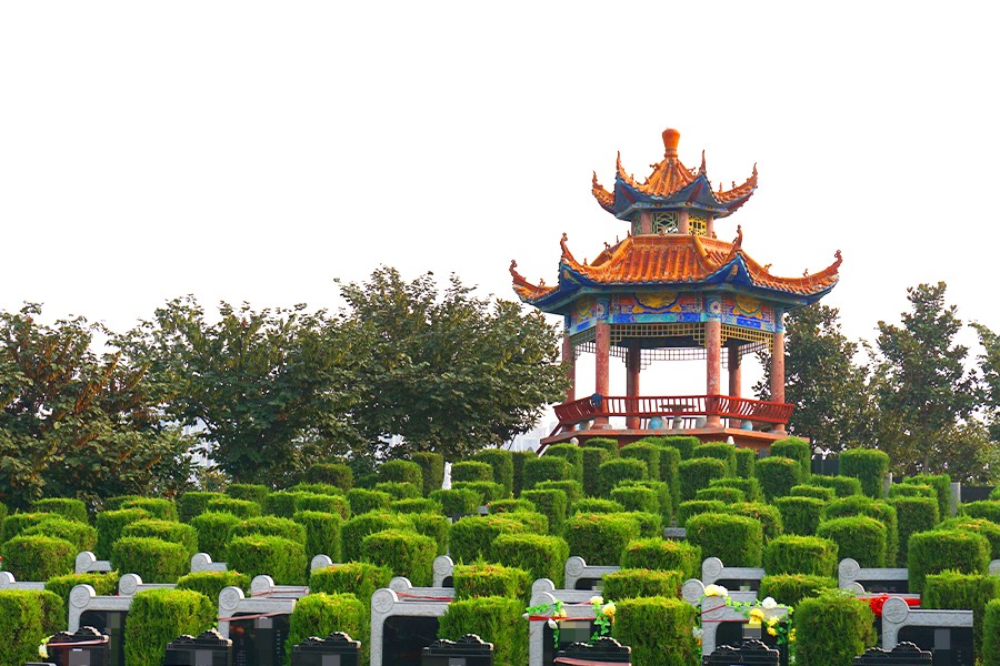 墓型大全