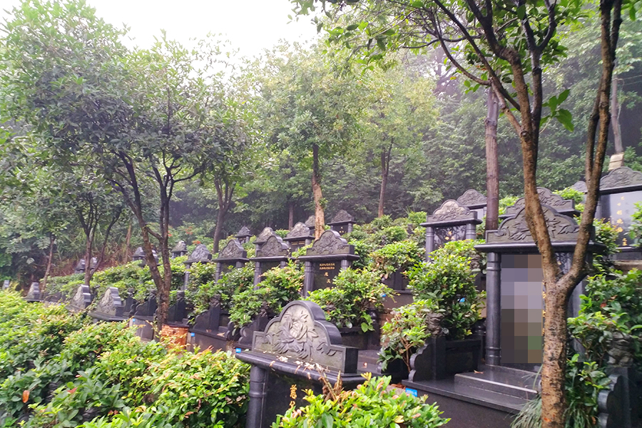 墓区环境