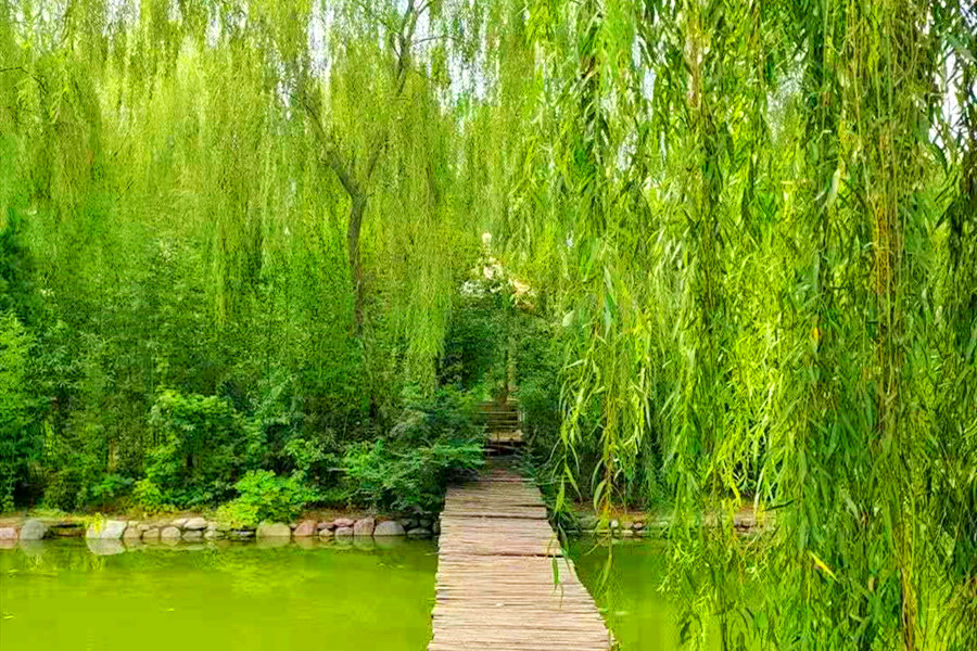 陵园绿化环境