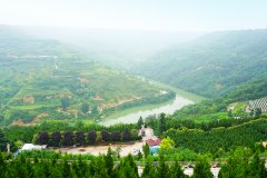 高桥墓园各葬式现在什么价格？2024年价格表最新